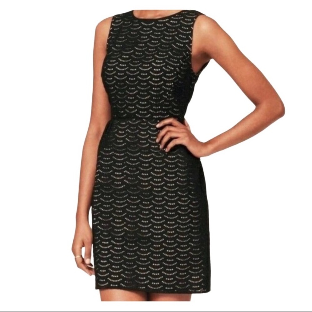 Ann Taylor Loft Black Scalloped Eyelet Dress size 12